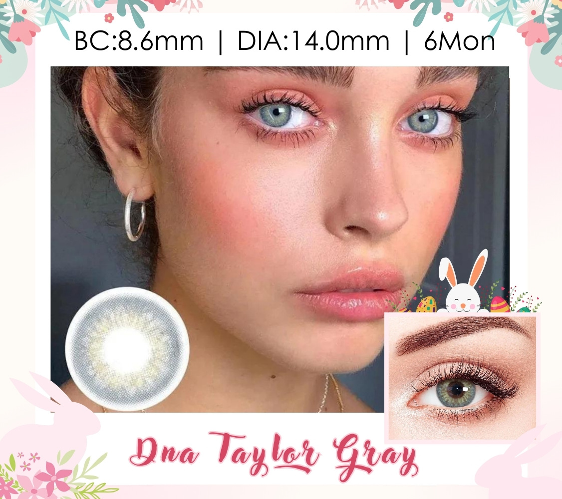 DNA Taylor Gray 6 Months Contact Lenses