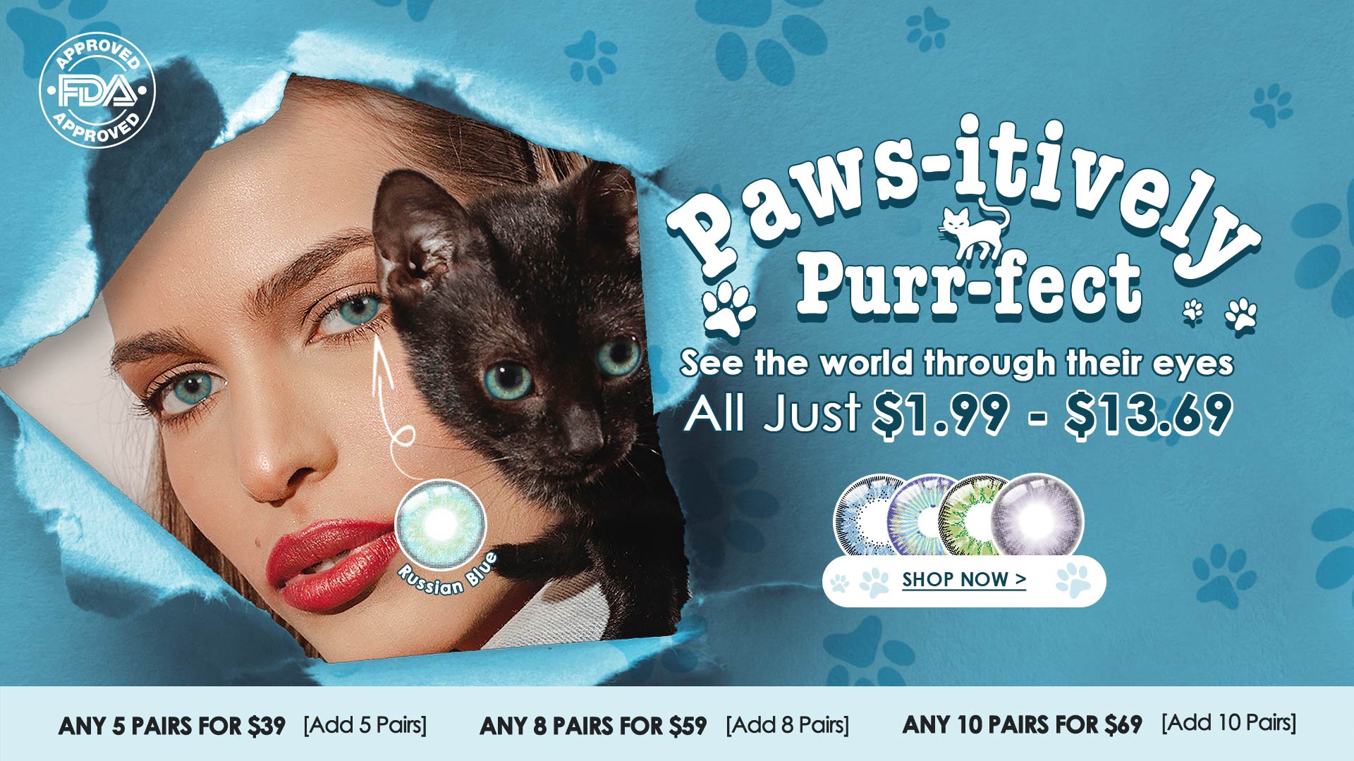 paws-itively-purr-fect