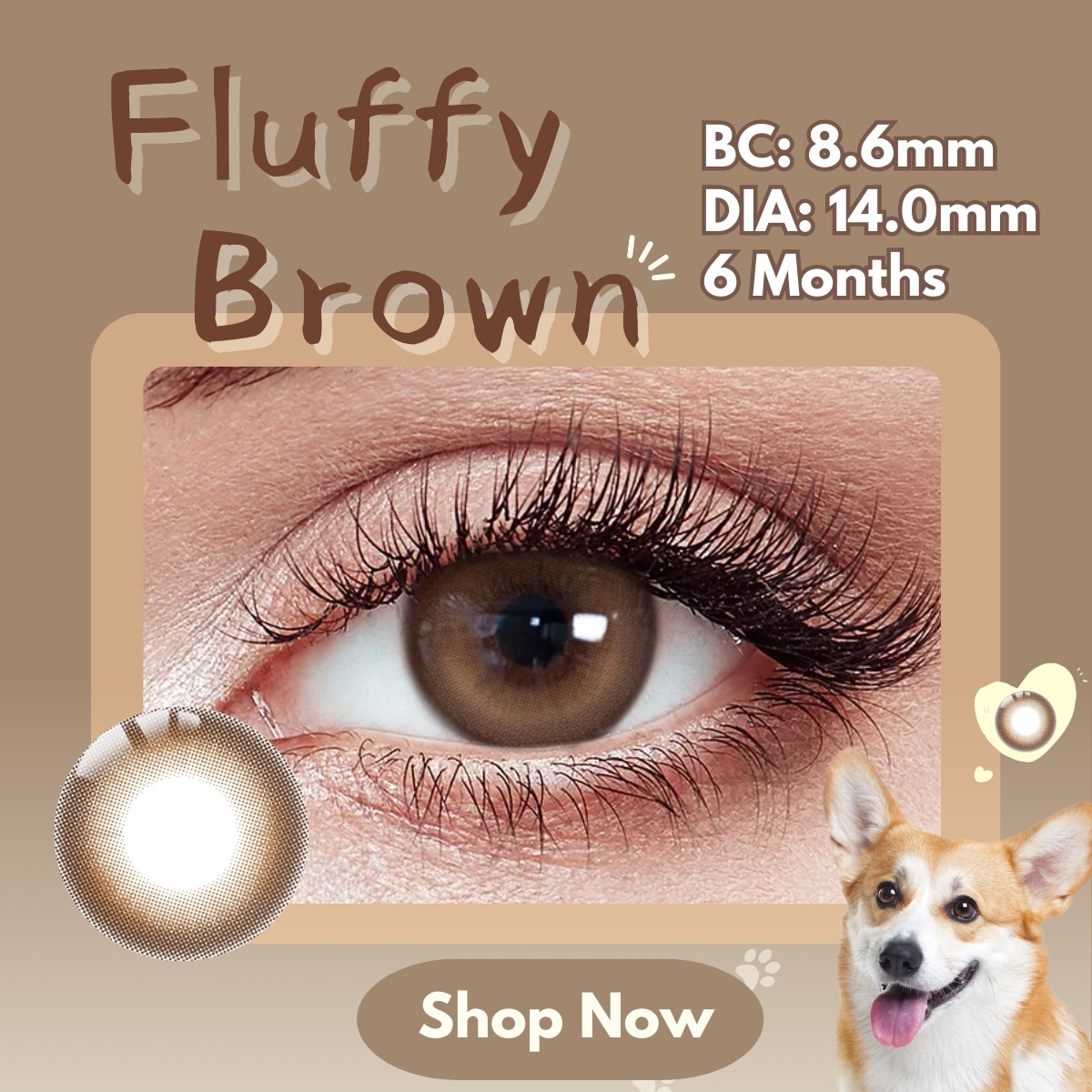 Fluffy Brown