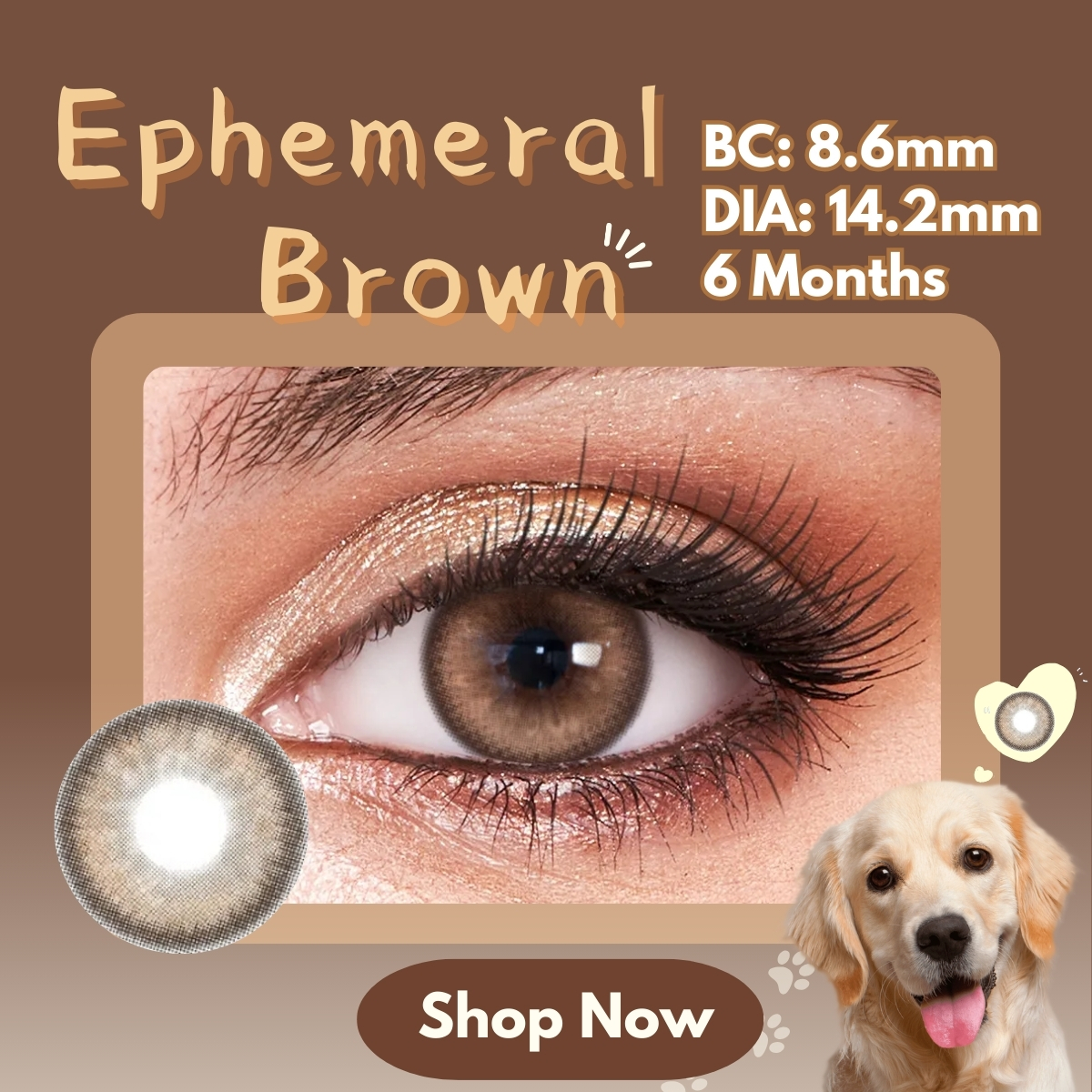 Ephemeral Brown