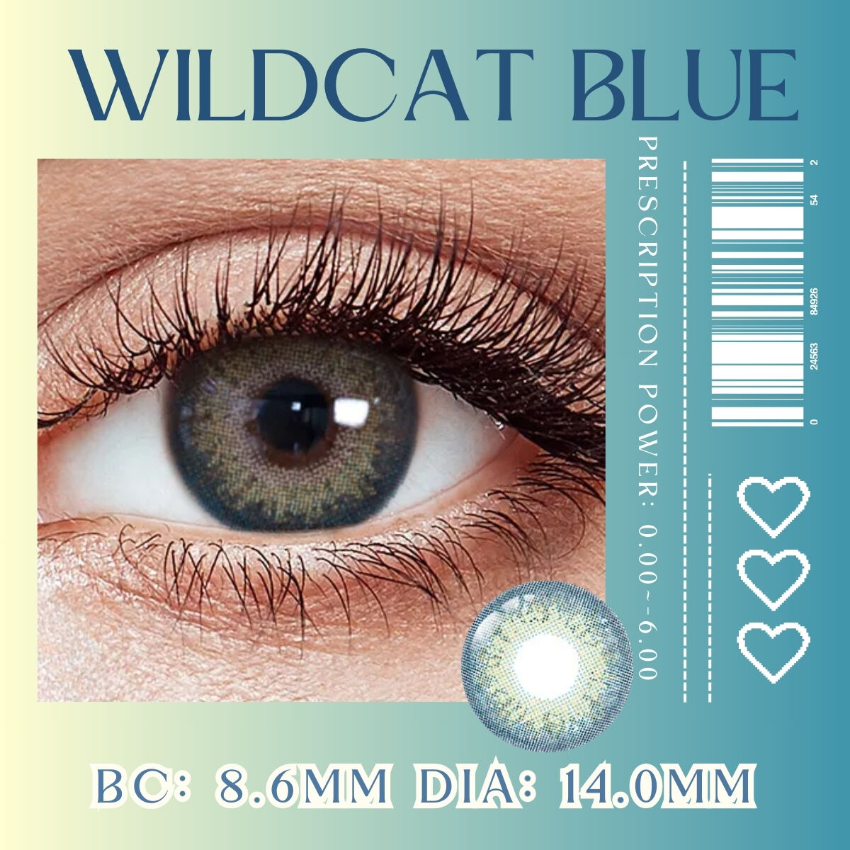 Wildcat Blue