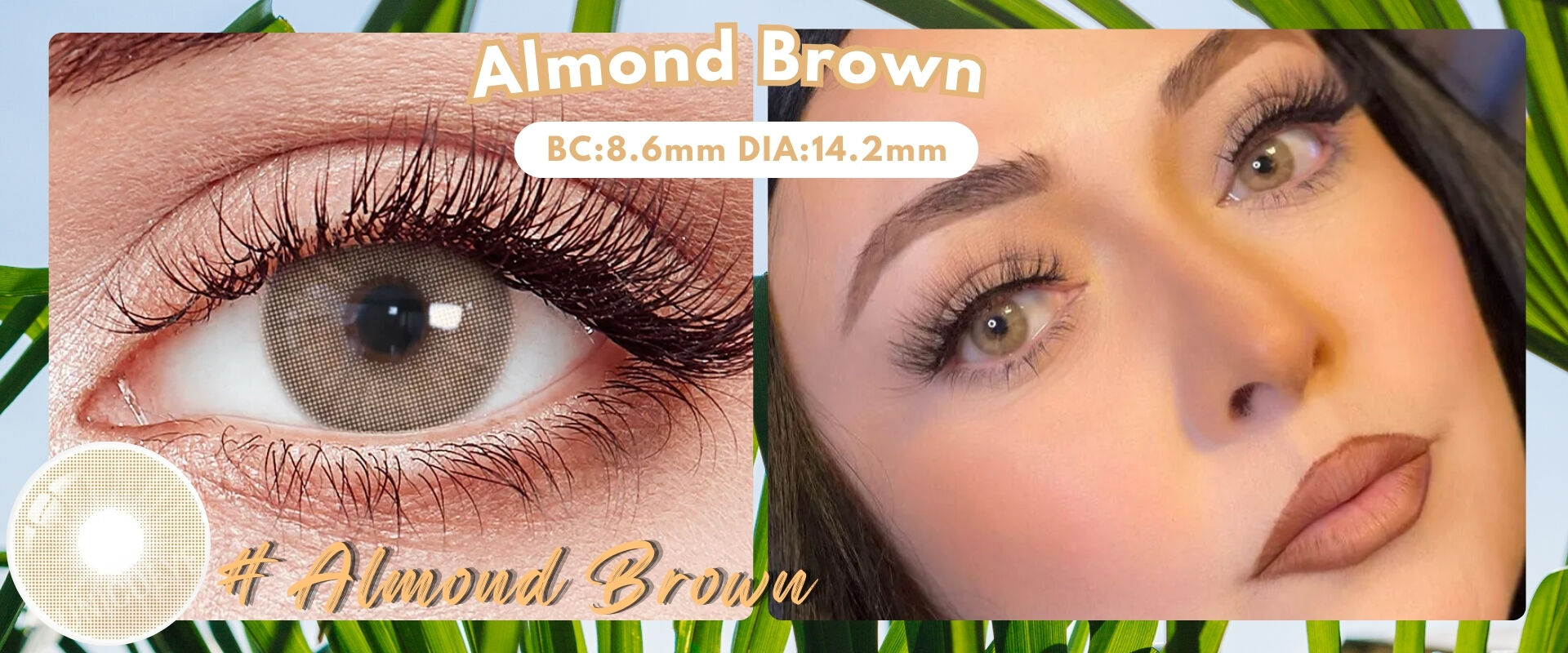 almond brown