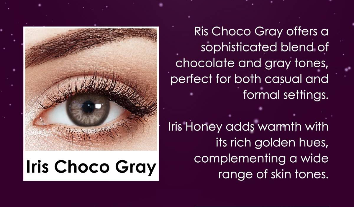 IRIS CHOCO GRAY