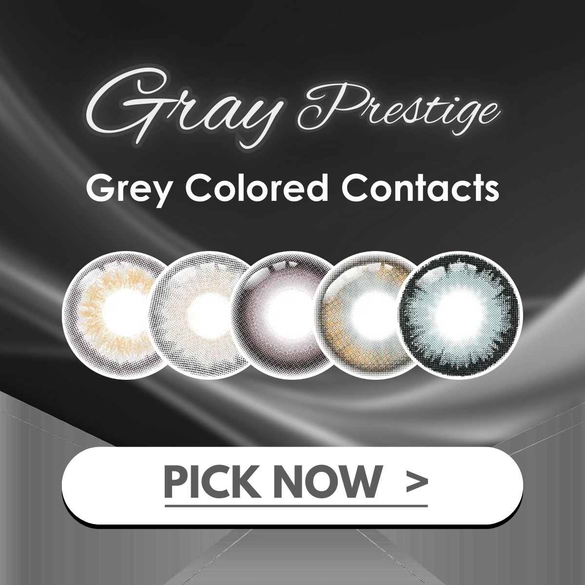 grey prestige