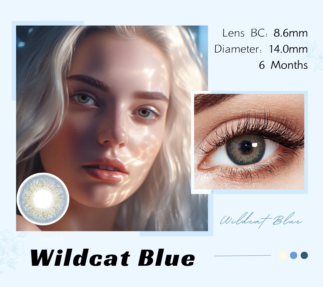 wildcat blue