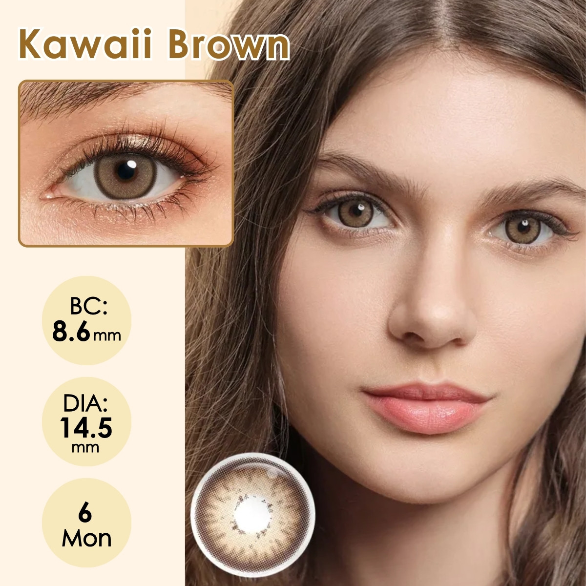 Kawaii Brown 6 Months Contact Lenses